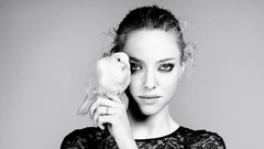Woman Actress models amanda seyfried grayscale
