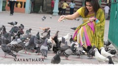 Woman Actress Tamil South Indian Nayanthara