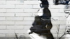 Woman Actress turkish Sevval Sam