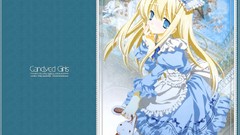 Woman Alice anime girls striped legwear