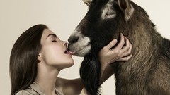 Woman Animals kissing Goats