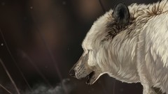 Woman animation fashion models