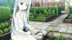 Woman Anime anime girls