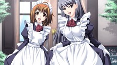 Woman Anime anime girls