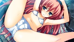 Woman Anime anime girls ecchi swimsuits