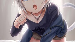 Woman Anime anime girls nekomimi