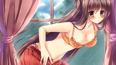 Woman Anime blush long hair brown eyes cleavage underwear 