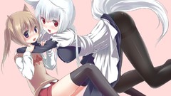 Woman Anime brown white hair red eyes blush pantyhose nekomimi 