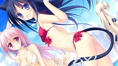 Woman Anime cartoons Beaches anime girls lingerie underwear 