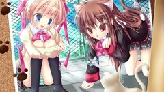 Woman Anime little blue eyes nekomimi animal ears natsume rin 