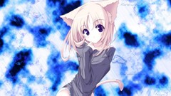 Woman Anime nekomimi