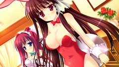 Woman Anime red eyes blue eyes waitress animal ears bunny suit 