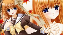 Woman Anime shuffle fuyou kaede