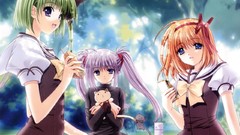 Woman Anime shuffle fuyou kaede Shigure Asa Primula (Shuffle!)