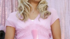 Woman artist Celebrity ashley tisdale brunettes