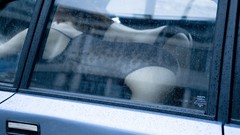 Woman ass cars lingerie