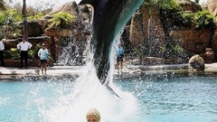 Woman ass Tara Reid Actress legs blondes boobs