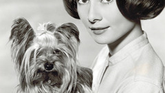 Woman Audrey Hepburn grayscale