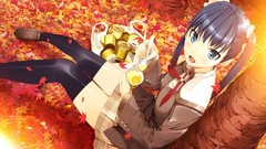 Woman autumn stockings leaves