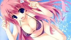 Woman baka to test to shoukanjuu bare shoulders himeji mizuki