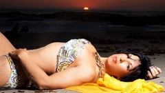 Woman Beaches brunettes boobs WWE Divas WWE World Wrestling 