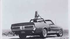 Woman bikini cars monochrome