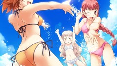 Woman bikini swimsuits