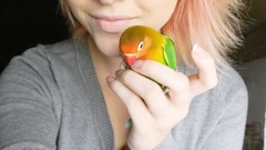 Woman Birds blondes blue eyes models