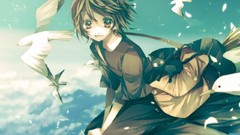 Woman Birds brooms skyscapes