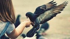 Woman Birds Pigeons