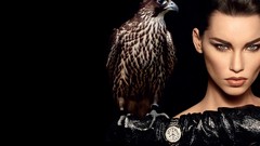 Woman black background fashion photography falcon bird