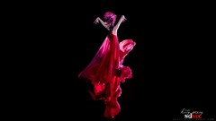 Woman black background models