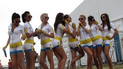 Woman blondes brunettes Grid Girls