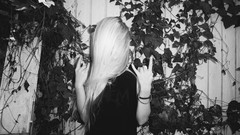 Woman blondes brunettes models