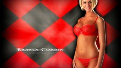 Woman blondes lingerie models red panties red lingerie red bra 