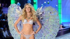 Woman blondes models Lindsay Ellingson