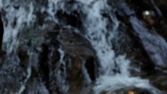 Woman blue eyes Eyefinity