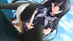 Woman blush anime girls blue eyes pantyhose seifuku game cg 