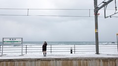 Woman Books Suzuki models digital Airi (Queens Blade)