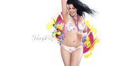 Woman brunettes bikini