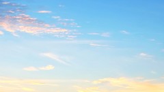 Woman brunettes denise milani Eyefinity