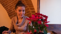 Woman brunettes Met-Art magazine Lily C