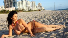 Woman brunettes models denise milani huge boobs