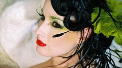 Woman brunettes models Dita Von Teese
