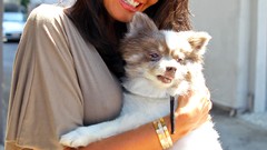 Woman brunettes models Tamara Ecclestone