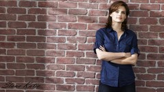 Woman brunettes stana katic Castle TV Series