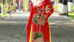 Woman brunettes vietnamese ao dai