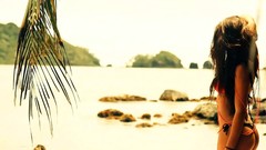 Woman Calendar bikini Miss Reef