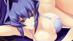 Woman Calendar Manga muv-luv