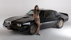 Woman cars brunettes